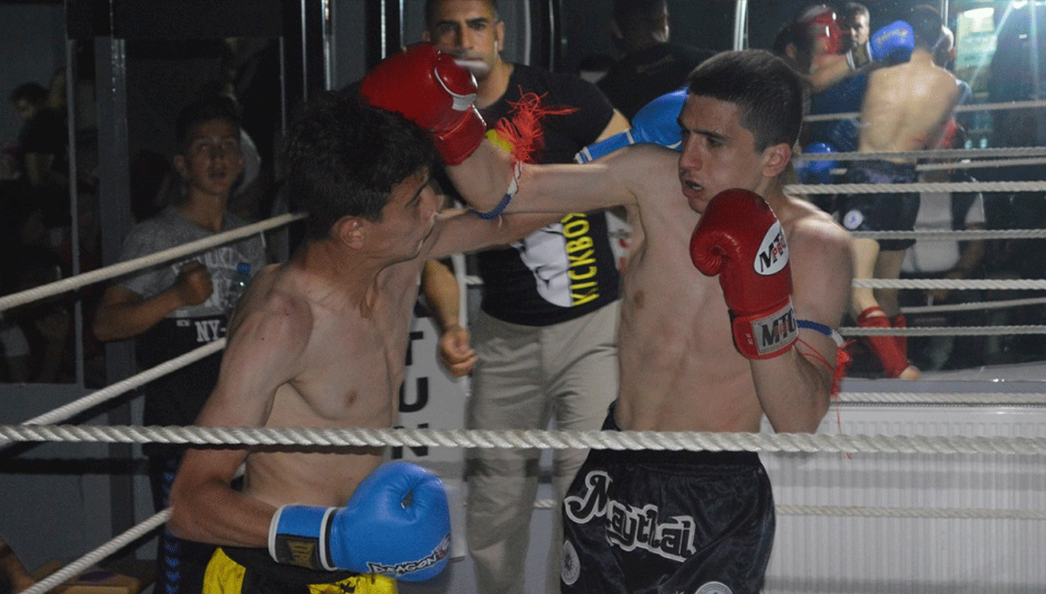 Aktunç Fight Night 6